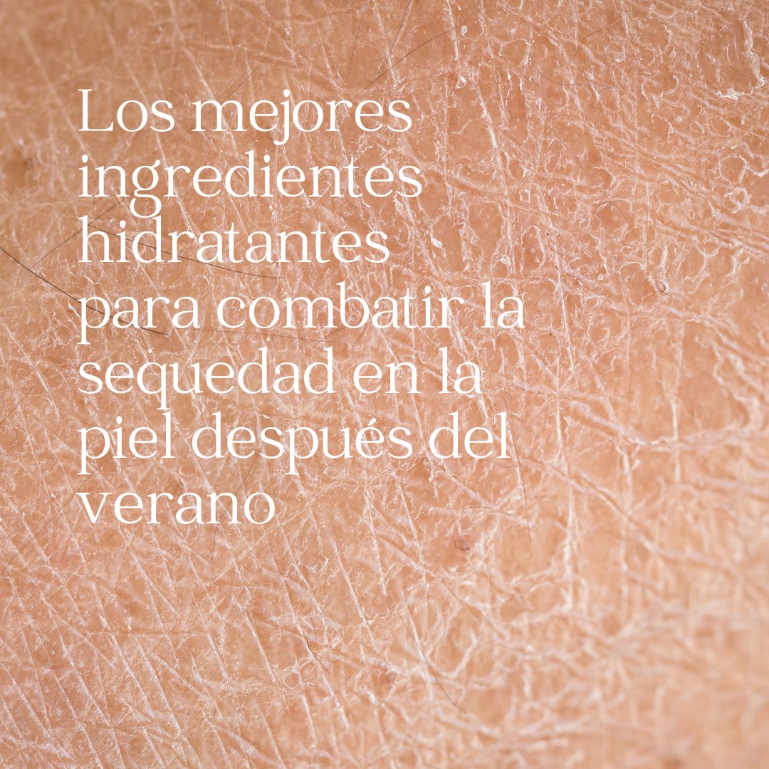 Los mejores ingredientes hidratantes para combatir la sequedad en la piel después del verano