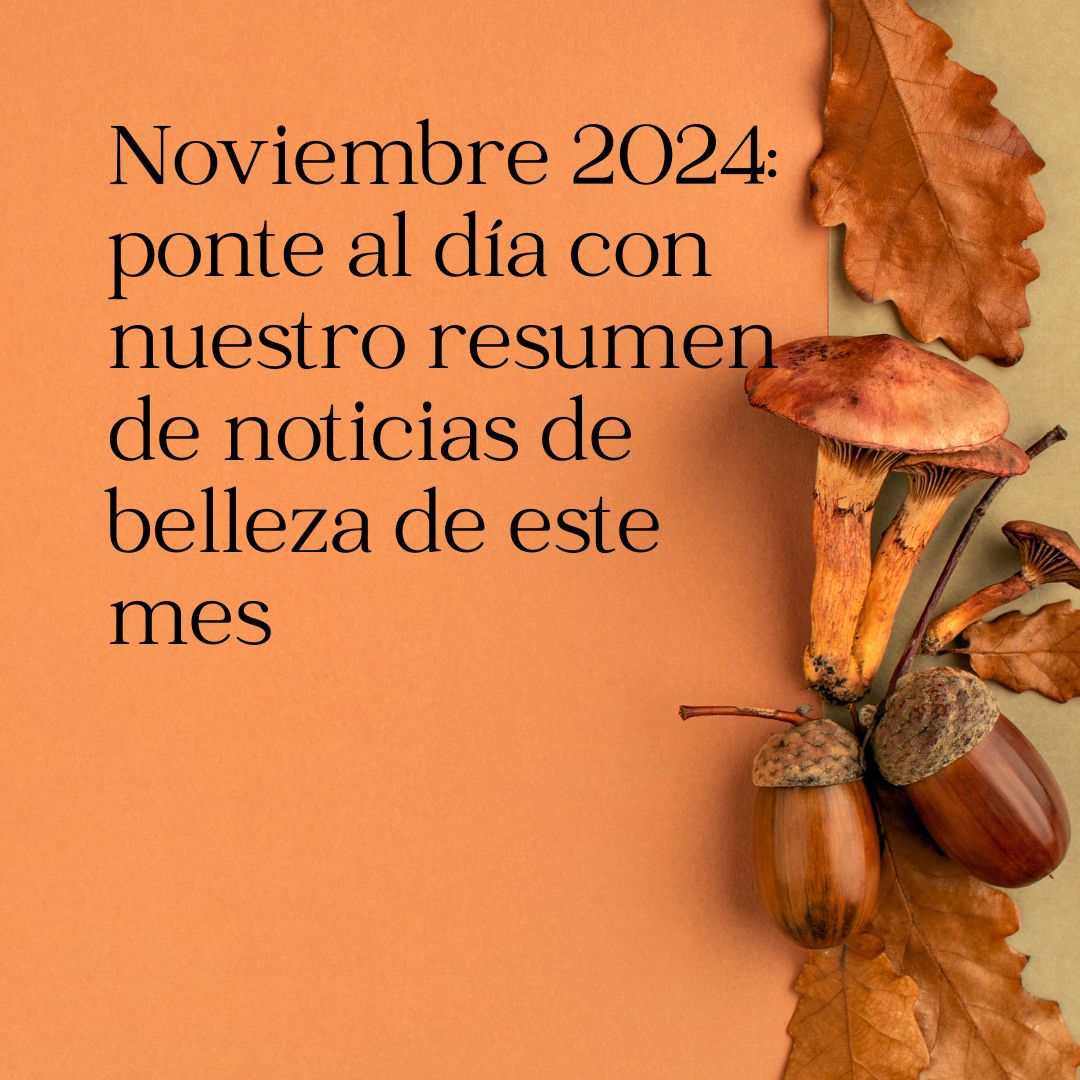 Noviembre 2024: ponte al día con nuestro resumen de noticias de belleza de este mes